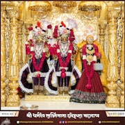 Kalupur Temple Murti Darshan