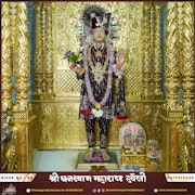 Kalupur Temple Murti Darshan