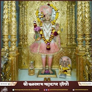 Kalupur Temple Murti Darshan