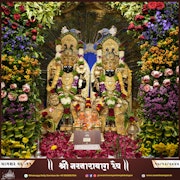 Kalupur Temple Murti Darshan