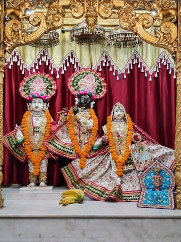 Ayodhya Temple Murti Darshan