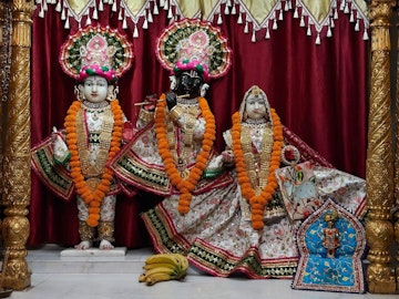 Ayodhya Temple Murti Darshan