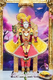 Bhuj Temple Murti Darshan