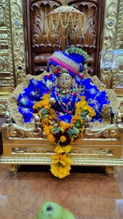 Cardiff Temple Murti Darshan