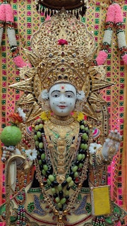 Cardiff Temple Murti Darshan