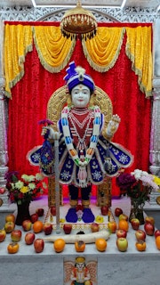 Cardiff Temple Murti Darshan