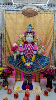 Cardiff Temple Murti Darshan