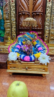 Cardiff Temple Murti Darshan