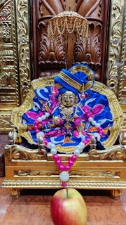 Cardiff Temple Murti Darshan