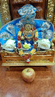 Cardiff Temple Murti Darshan