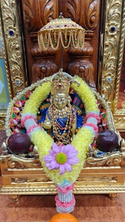 Cardiff Temple Murti Darshan