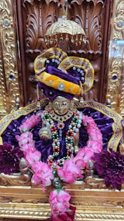 Cardiff Temple Murti Darshan