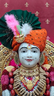Cardiff Temple Murti Darshan