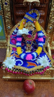 Cardiff Temple Murti Darshan