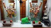 Cardiff Temple Murti Darshan