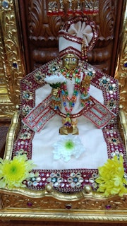Cardiff Temple Murti Darshan