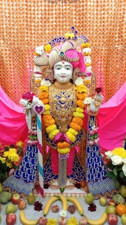Cardiff Temple Murti Darshan