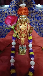 Cardiff Temple Murti Darshan