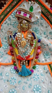 Cardiff Temple Murti Darshan