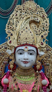 Cardiff Temple Murti Darshan