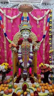Cardiff Temple Murti Darshan