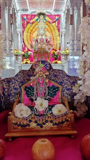 Cardiff Temple Murti Darshan