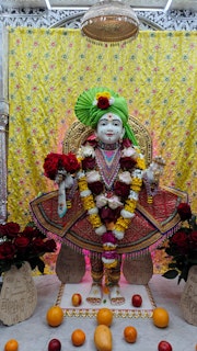 Cardiff Temple Murti Darshan