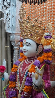 Cardiff Temple Murti Darshan