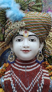 Cardiff Temple Murti Darshan