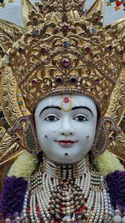 Cardiff Temple Murti Darshan