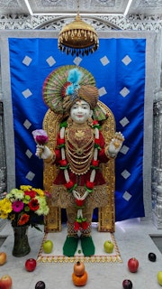 Cardiff Temple Murti Darshan