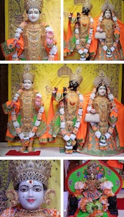 Chicago Temple (ISSO) Murti Darshan