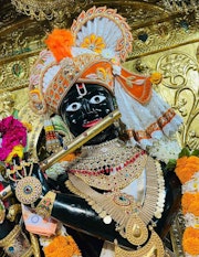 Gadhada Temple Murti Darshan