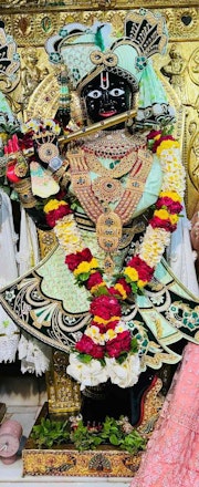Gadhada Temple Murti Darshan