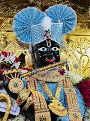 Gadhada Temple Murti Darshan