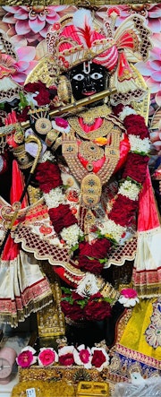Gadhada Temple Murti Darshan