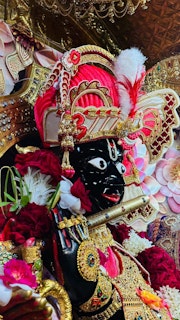 Gadhada Temple Murti Darshan