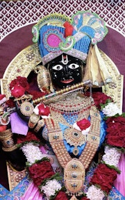 Gadhada Temple Murti Darshan