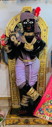 Gadhada Temple Murti Darshan
