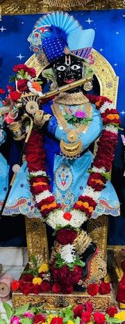 Gadhada Temple Murti Darshan