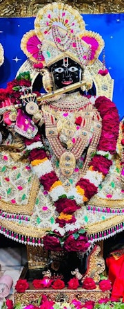 Gadhada Temple Murti Darshan