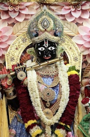 Gadhada Temple Murti Darshan