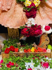 Gadhada Temple Murti Darshan
