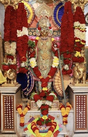 Gadhada Temple Murti Darshan
