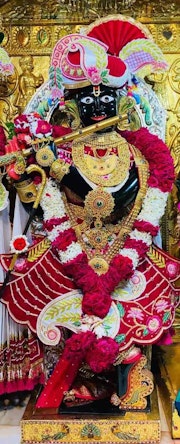 Gadhada Temple Murti Darshan
