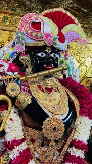 Gadhada Temple Murti Darshan