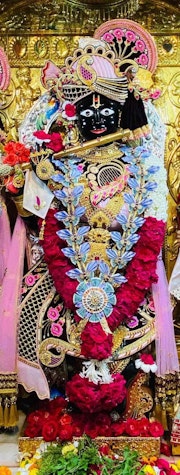Gadhada Temple Murti Darshan