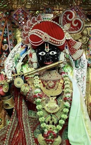 Gadhada Temple Murti Darshan