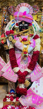 Gadhada Temple Murti Darshan