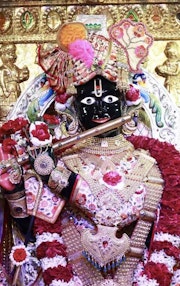 Gadhada Temple Murti Darshan